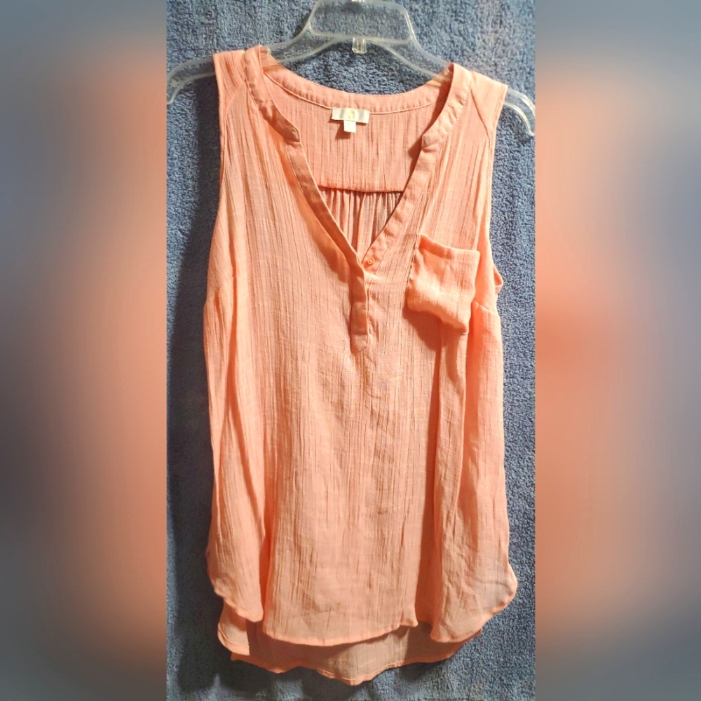 Ladies Sleeveless Blouse